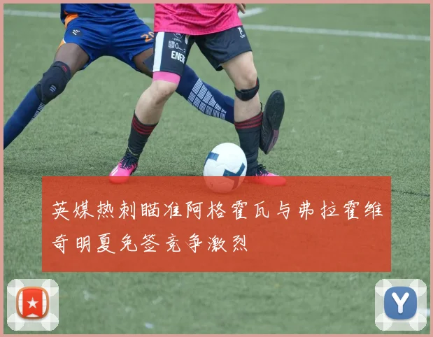 英媒热刺瞄准阿格霍瓦与弗拉霍维奇明夏免签竞争激烈