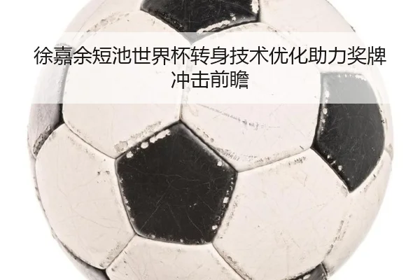 徐嘉余短池世界杯转身技术优化助力奖牌冲击前瞻